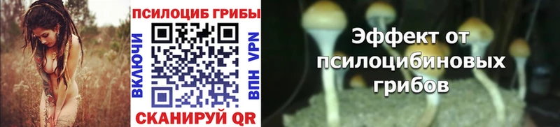 Псилоцибиновые грибы ЛСД  blacksprut вход  Сольвычегодск 